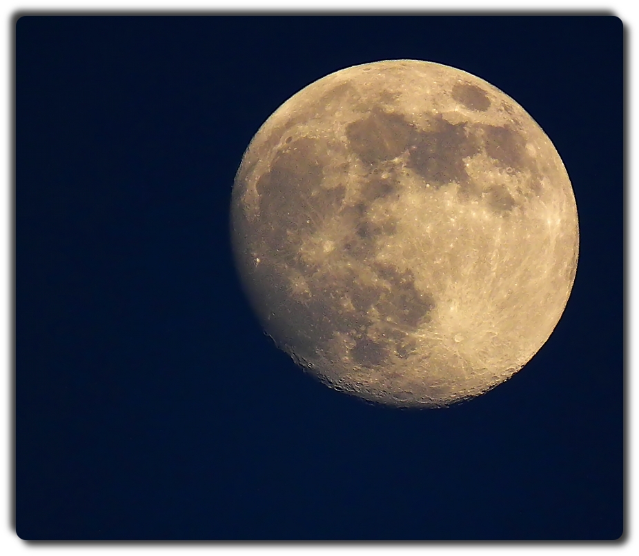 Featured Photo